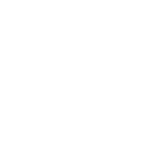 Team Page: The Aloha Bears