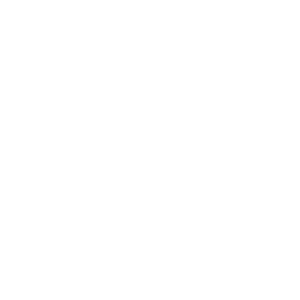 The Aloha Bears